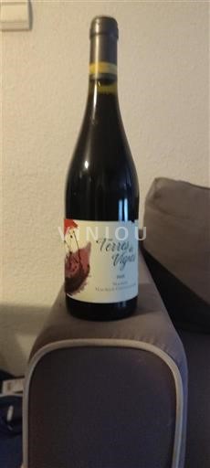 Bourgondië Montagny Vignerons de Buxy Terres de Vigne 2023