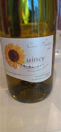 Valle della Loira Quincy Christine Gallon Prestige 2015