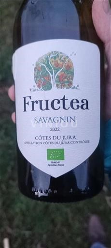 Jura Côtes-du-jura Fructea Savagnin 2022