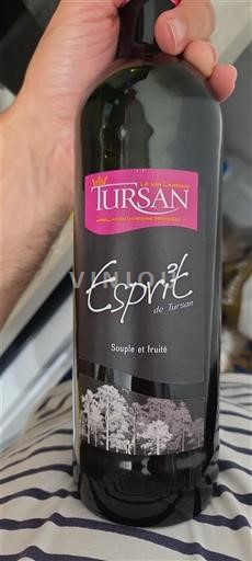 Sudoeste Tursan Les Vignerons Landais Esprit de Tursan Sin añada