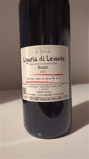 Wines of Liguria Unspecified Azienda Agricola a Scià 2023