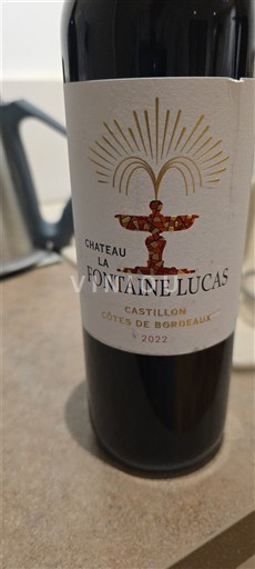 Bordeaux Castillon-côtes-de-bordeaux Château La Fontaine Lucas 2022