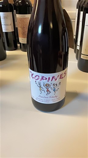 Roussillon Côtes-du-roussillon Domaine Tikveš Les Copines 2020