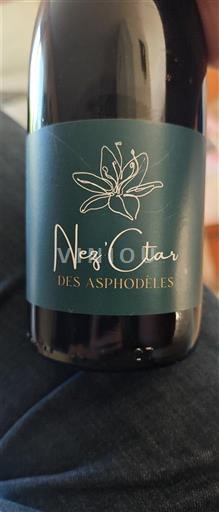 Southwest Not Specified Des Asphodèles Nez'Ctar 2023