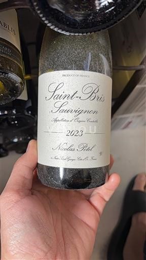 Burgundija Saint-Bris Nicolas Potel 2023
