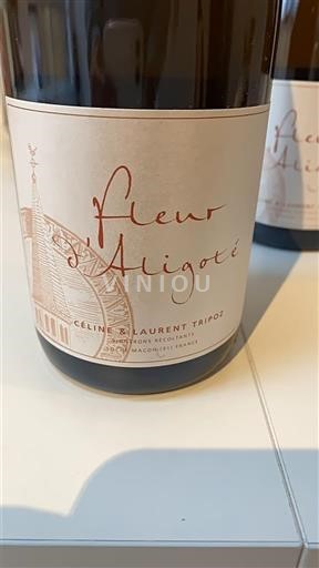 Bourgondië Bourgogne Aligoté Céline & Laurent Tripoz Fleur d'Aligoté Niet-geïntegreerd