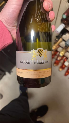 Valle della Loira Muscadet Sèvre et Maine Grande Réserve 2024