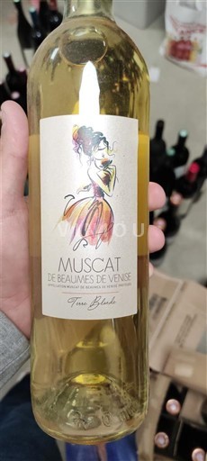 Rona dolina Muscat iz Beaumes-de-Venise Terre Blanche 2018