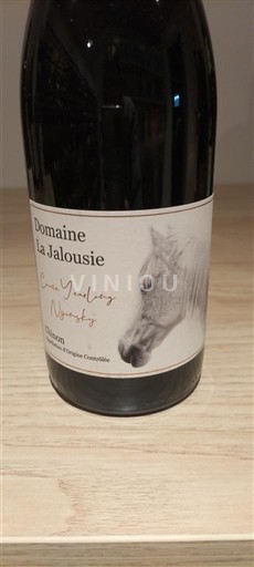 Vallée de la Loire Chinon Domaine La Jalousie 2019