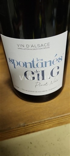 Alsace Gilg Les Spontanés 2023