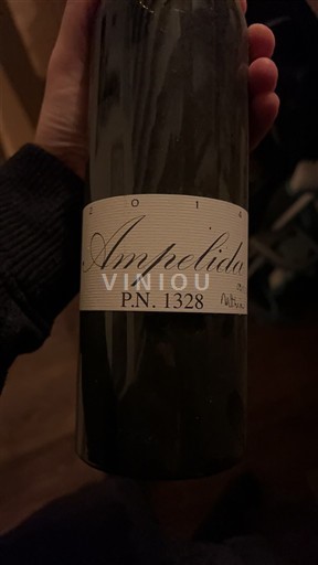 Vallée de la Loire Ampelidae PN 1328 2014