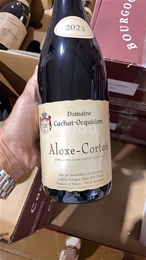 Bourgogne Aloxe-Corton Domaine Cachat-Ocquidant 2023