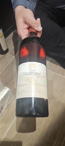 Bordeaux Pauillac Château Mouton-Rothschild 2009