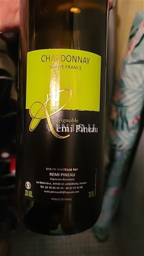 Langvedok Ni doloceno Vignoble Rémi Pineau 2023