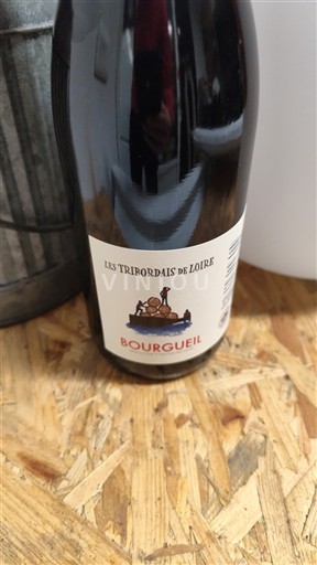 Valle della Loira Bourgueil Les Tribordais de Loire 2024