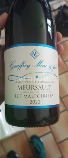 Borgogna Meursault Gauffroy Marc & Fils Les Malpoiriers 2022