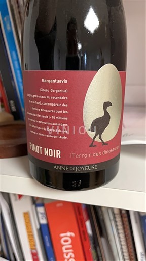 Languedoc ja Roussillon Audejoen ylälaakso Anne de Joyeuse Terroir des dinosaurs Gargantuavis 2021