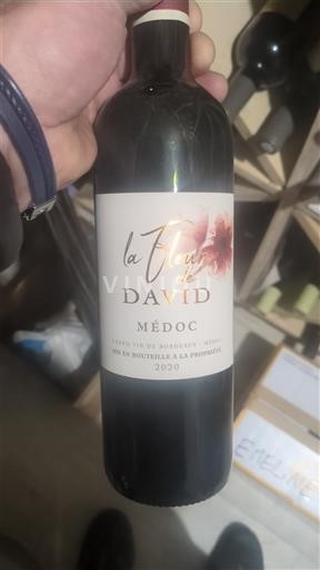 Bordeaux Médoc La Fleur de David 2020