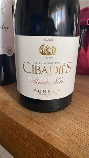 Languedoc-Roussillon Pays d'Oc Domaine Cibadiès Pinot Noir Non-Vintage