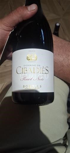 Languedoc-Roussillon Pays d'Oc Domaine Cibadiès Pinot Noir Non-Vintage