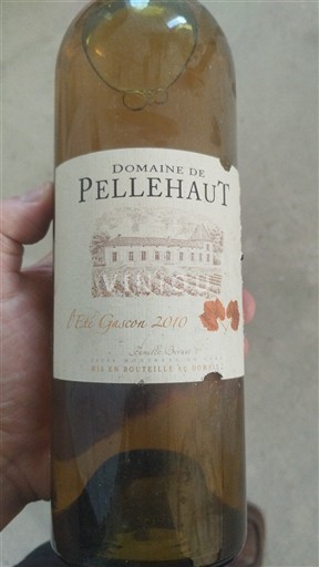 Tây Nam Côtes de Gascogne Domaine Pellehaut L'Été Gascon 2010