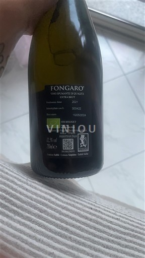 Wines of Veneto Lessini Durello Fongaro Extra Brut 2021