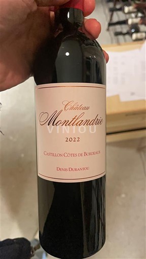 Bordeaux Castillon-côtes-de-bordeaux Château Montlandrie 2022