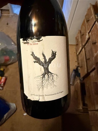 Kastilia ja León Ribera del Duero Dominio de Pingus PSI 2018