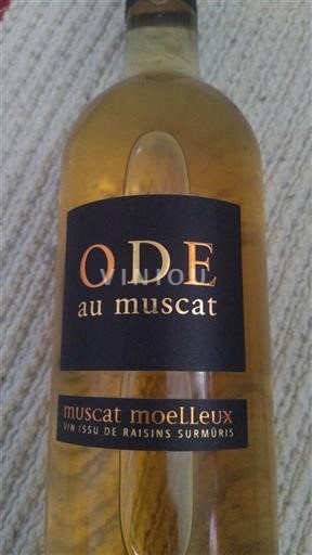 Alsace Muscat Ode au Muscat Không niên vụ