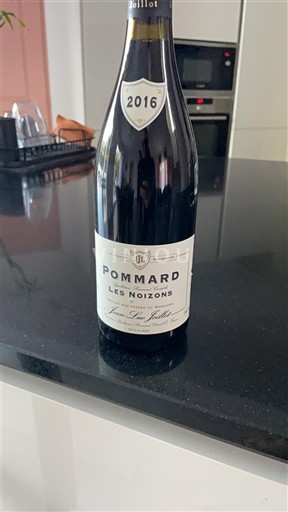 Burgundi Pommard Jean-Louis Joillot Les Noizons 2016