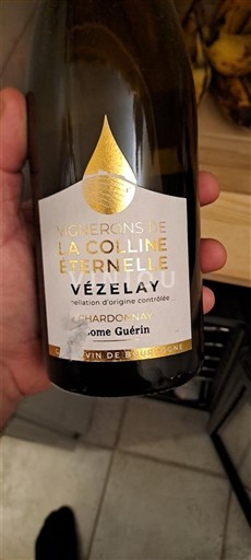 Borgogna Volnay Vignerons de la Colline Éternelle 2022