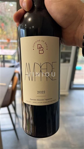 Sydvestfrankrig Gaillac Domaine Brin Amphore 2022