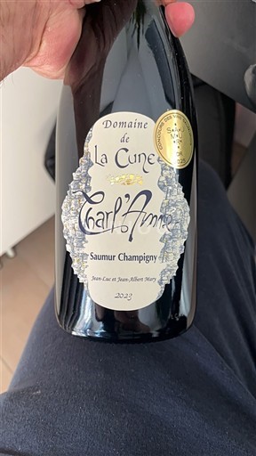 Dolina Loare Saumur-champigny Domaine La Cune Charl'Anne 2023