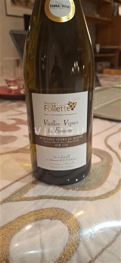Vale do Loire Muscadet-sèvre-et-maine Domaine La Foliette Vieilles Vignes La Fontaine 2022