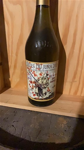 Jura Côtes-du-jura Domaine Pierre Richard Tête à Bulle 2009