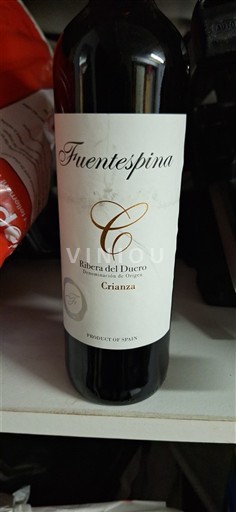 Castiglia e León Ribera del Duero Fuentespina Crianza Senza annata