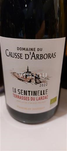 Linguadoca Terrasses-du-Larzac Domaine Causse Arboras La Sentinelle 2022
