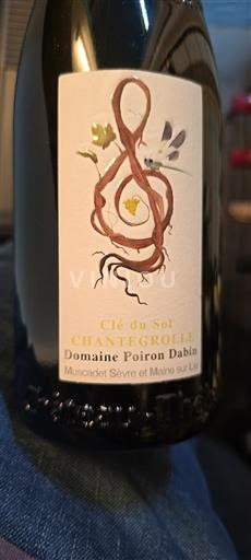 Loiren laakso Määrittelemätön Domaine Poiron Dabin Clé du Sol Chantegrolle 2022