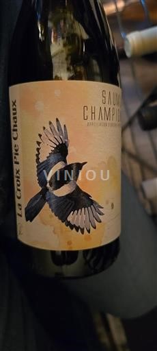 Loire-dalen Saumur-Champigny La Croix Pic Chaux 2023