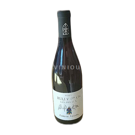 Borgogna Non specificato Premier Cru Camille Villard Les Preaux Senza annata