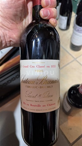 Vin Rouge sec Château Branaire (Duluc-Ducru) 1996 France Bordeaux Saint-Julien AOC Grand Cru