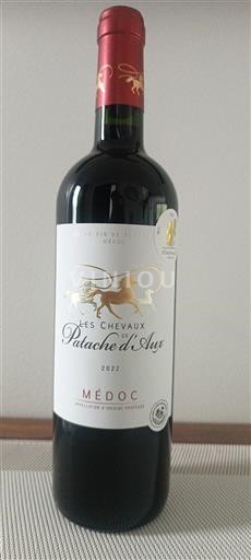Bordeaux Médoc Patache Aux Les Chevaux de Patache d'Aux 2022
