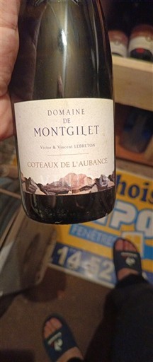 Thung lũng sông Loire Coteaux-de-l'aubance Domaine Montgilet 2012