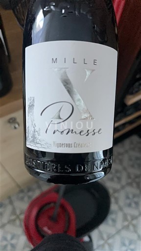 Rhônen laakso Nîmesin viinialue Vignerons Créateurs Mille X Promesse 2023