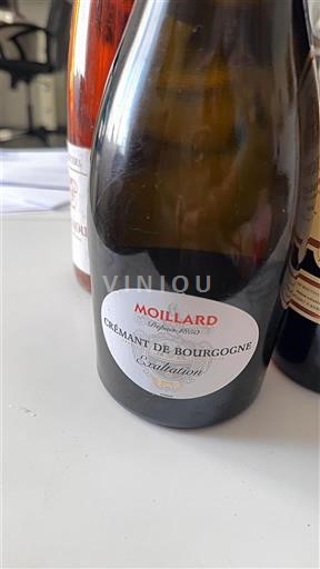 Borgogna Crémant di Borgogna Moillard Exaltation Senza annata