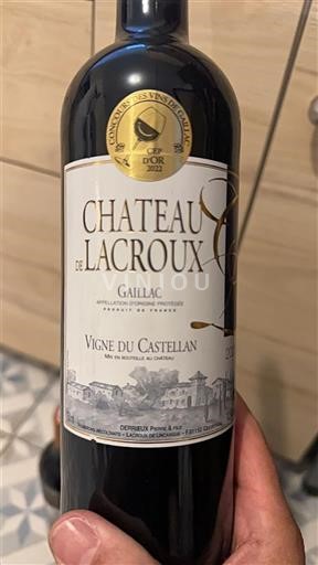 Vin Rouge sec Vigne du Castellan Château Lacroux 2020 France Sud-Ouest Gaillac AOC