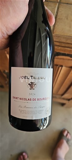 Thung lũng sông Loire Saint-Nicolas-De-Bourgueil Joël Taluau Les Racines du Temps 2024
