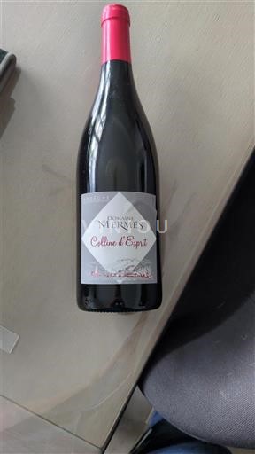 Sudoeste Côtes de Gascogne Domaine Mermes Colline d'Esprit Sin añada