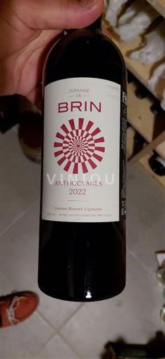 Southwest Gaillac Domaine Brin Anthocyanes 2022