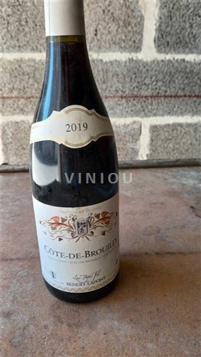 Beaujolais Côte-de-brouilly Benoît Laforest Les Petits Fers 2019